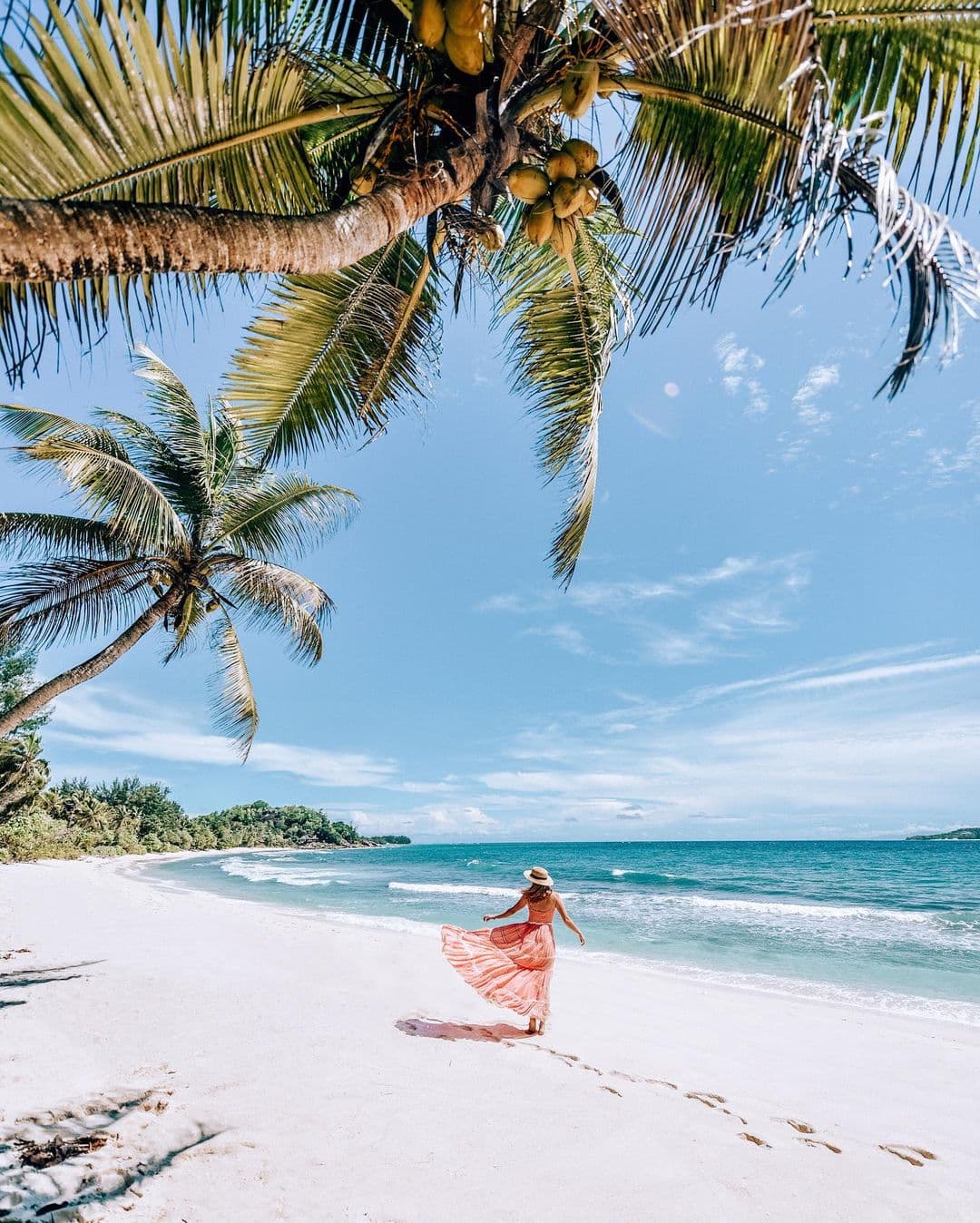 Constance Seychelles